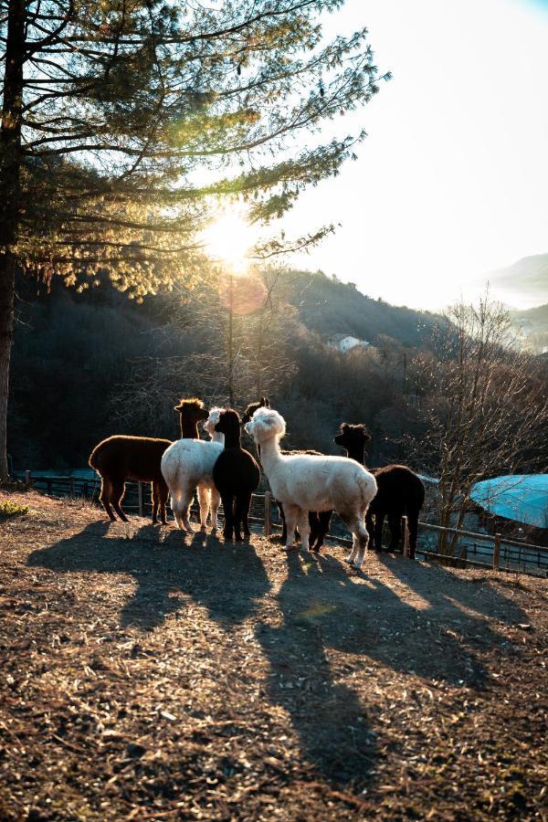Agriturismo Scuderia Della Valle Valsecca Bagian luar foto