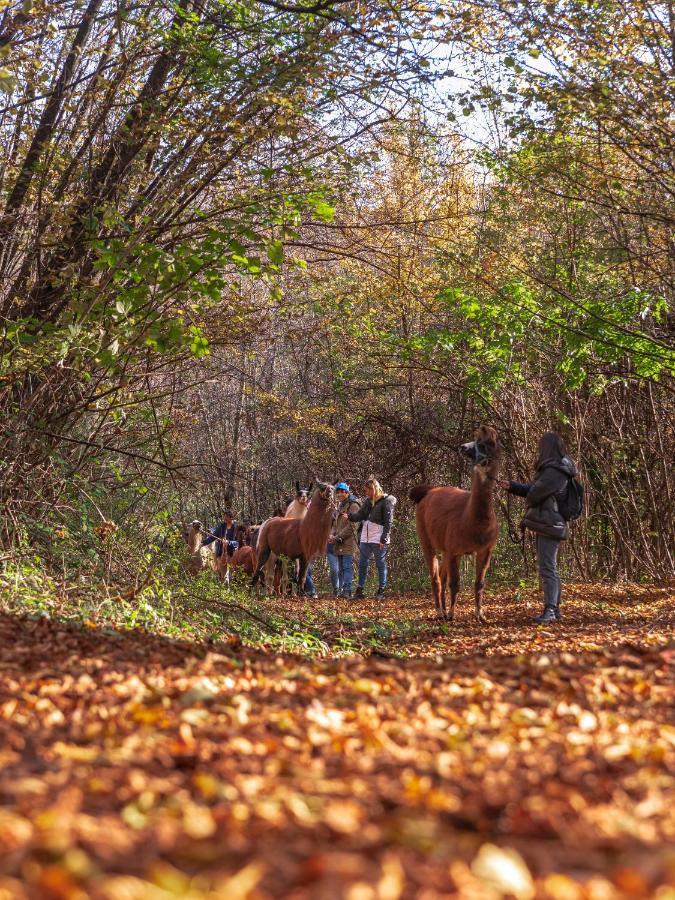 Agriturismo Scuderia Della Valle Valsecca Bagian luar foto